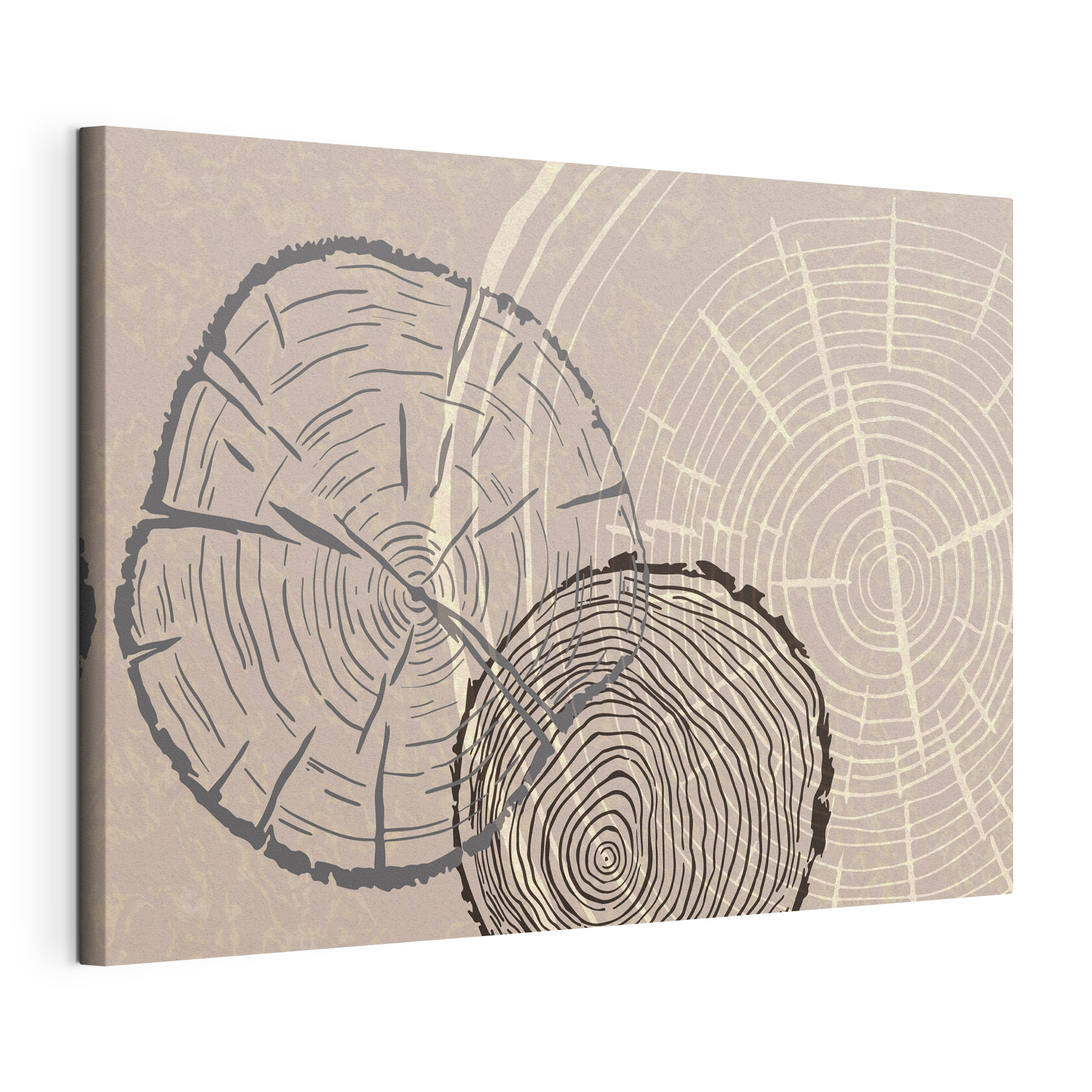 Time etched in wooden memories Time etched in wooden memories