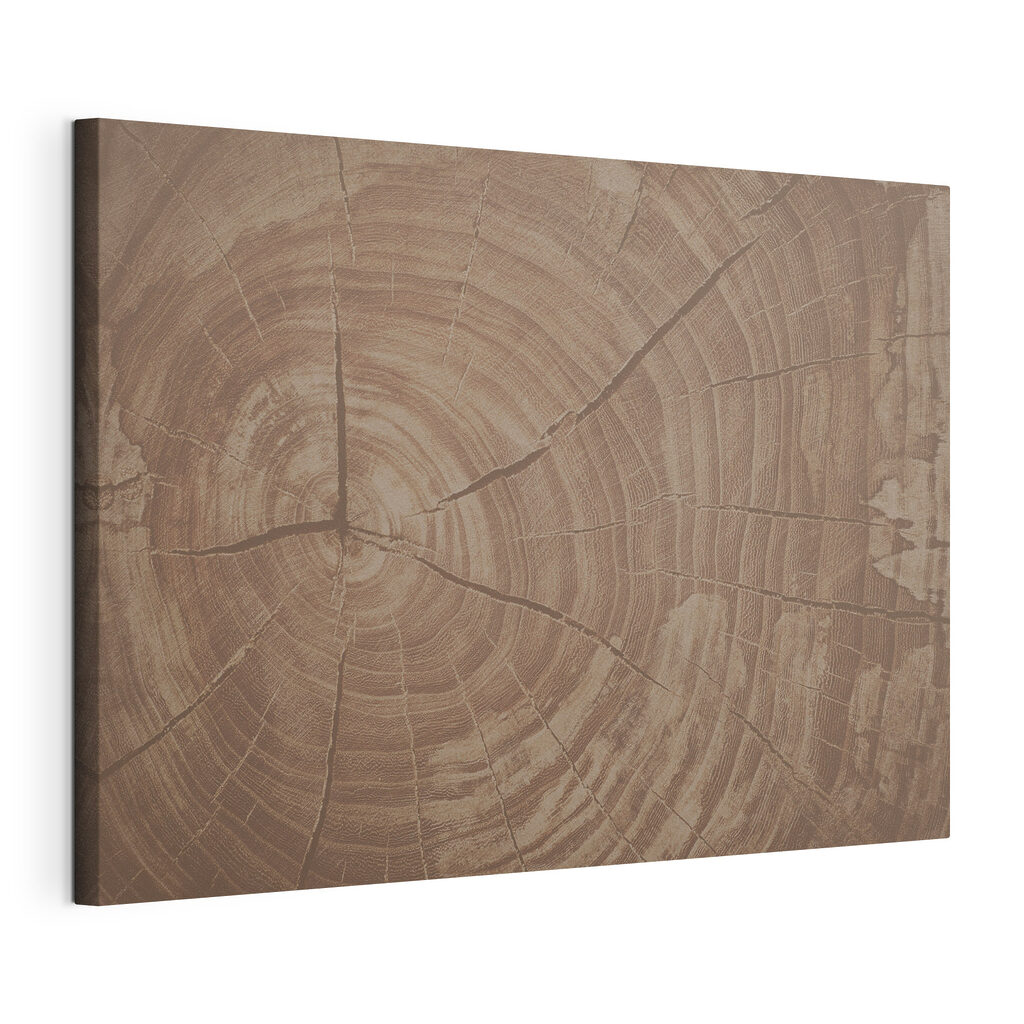 Tree Rings Tell Nature's Story Tree Rings Tell Nature's Story