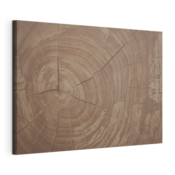 Quadri Gli anelli degli alberi raccontano la storia della natura (COD: s36003) Quadri Quadri Gli anelli degli alberi raccontano la storia della natura (COD: s36003)