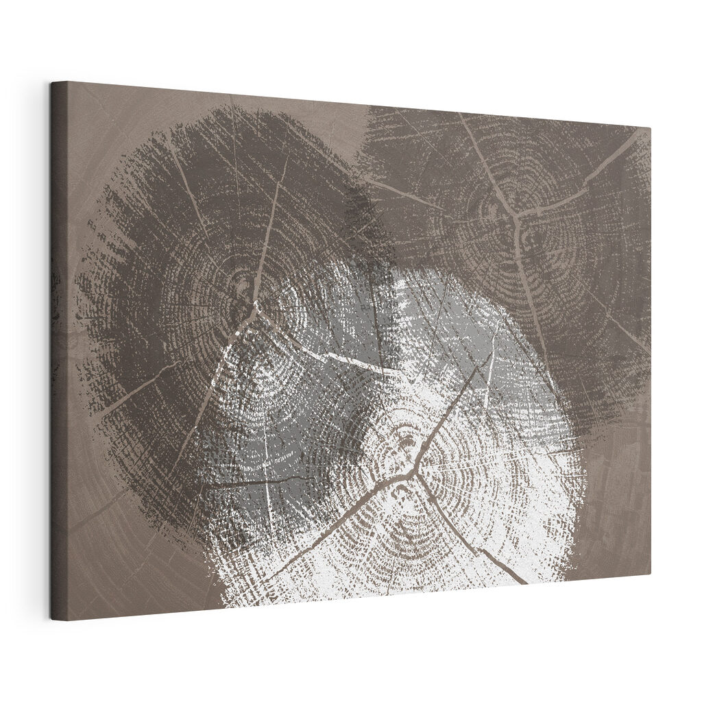 Tree Rings in Monochrome Detail