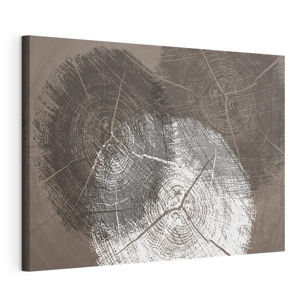 Quadri Gli anelli degli alberi in primo piano in bianco e nero (COD: s36004) Quadri Quadri Gli anelli degli alberi in primo piano in bianco e nero (COD: s36004)
