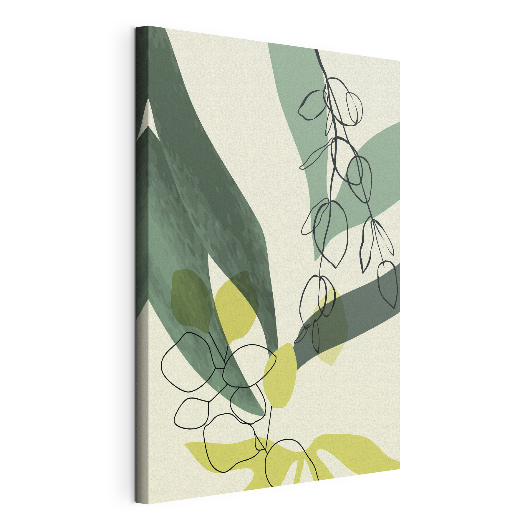 A drawing of a plant