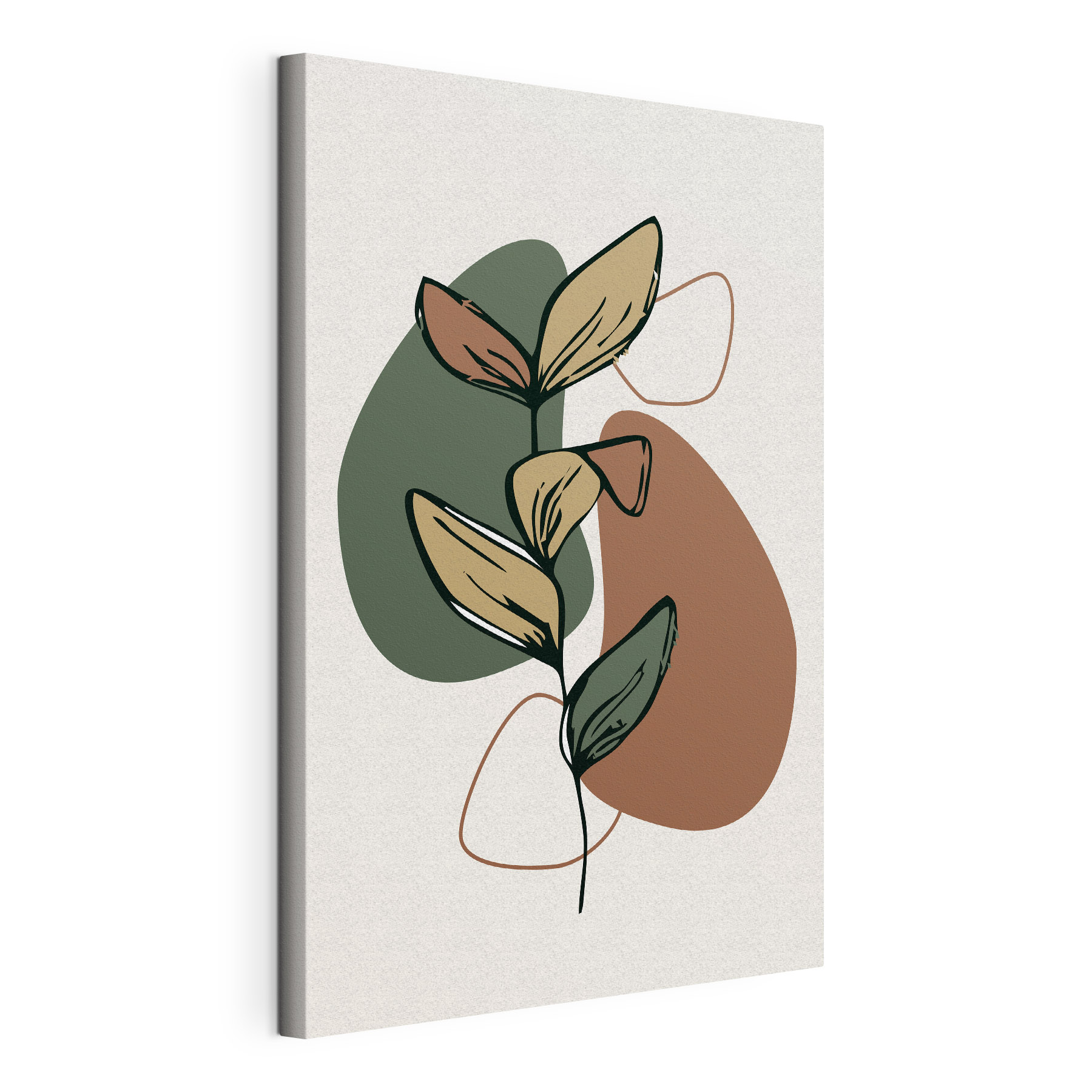 A plant with leaves and a few circles