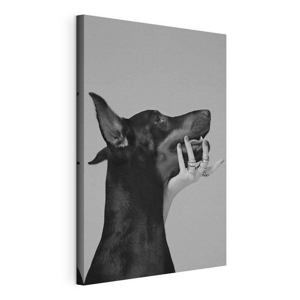 A hand holding a dog's face