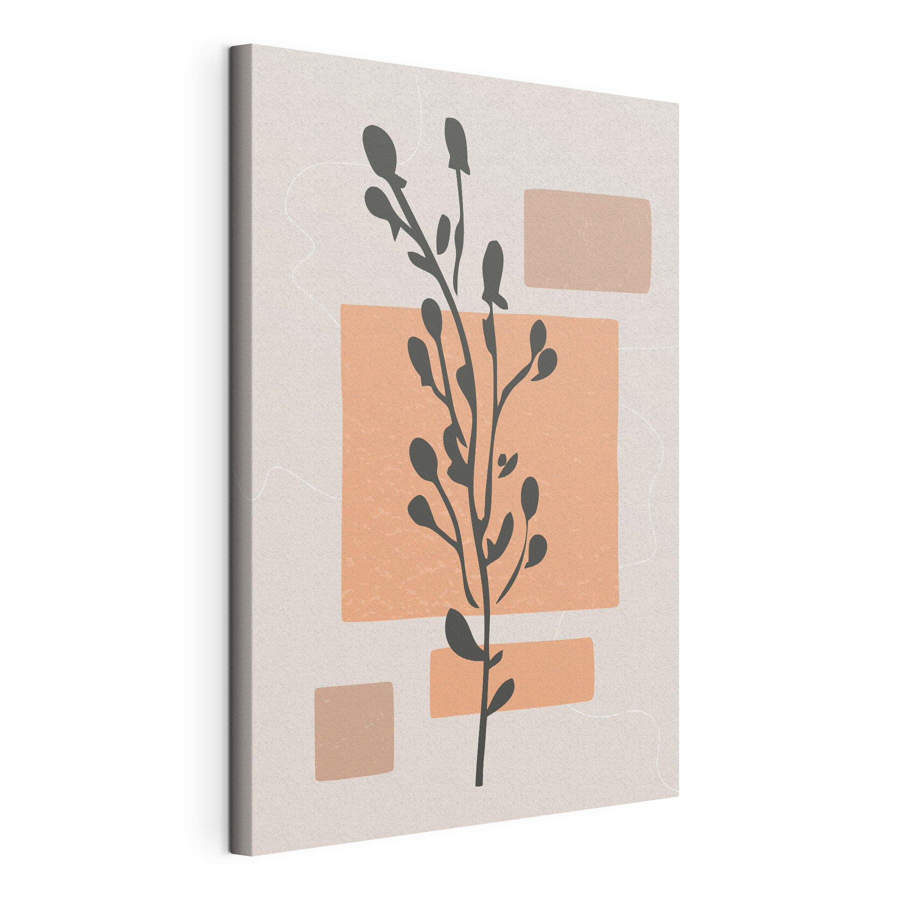 Plant with leaves and squares