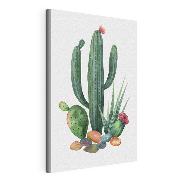 Quadri Quadri Acquerello raffigurante un cactus e delle rocce (COD: s36251)