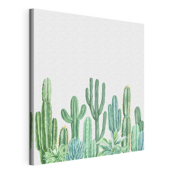 Quadri Gruppo di cactus e piante grasse (COD: s36252) Quadri Quadri Gruppo di cactus e piante grasse (COD: s36252)