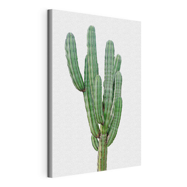 Quadri Cactus con lunghi steli verdi e sottili (COD: s36253) Quadri Quadri Cactus con lunghi steli verdi e sottili (COD: s36253)