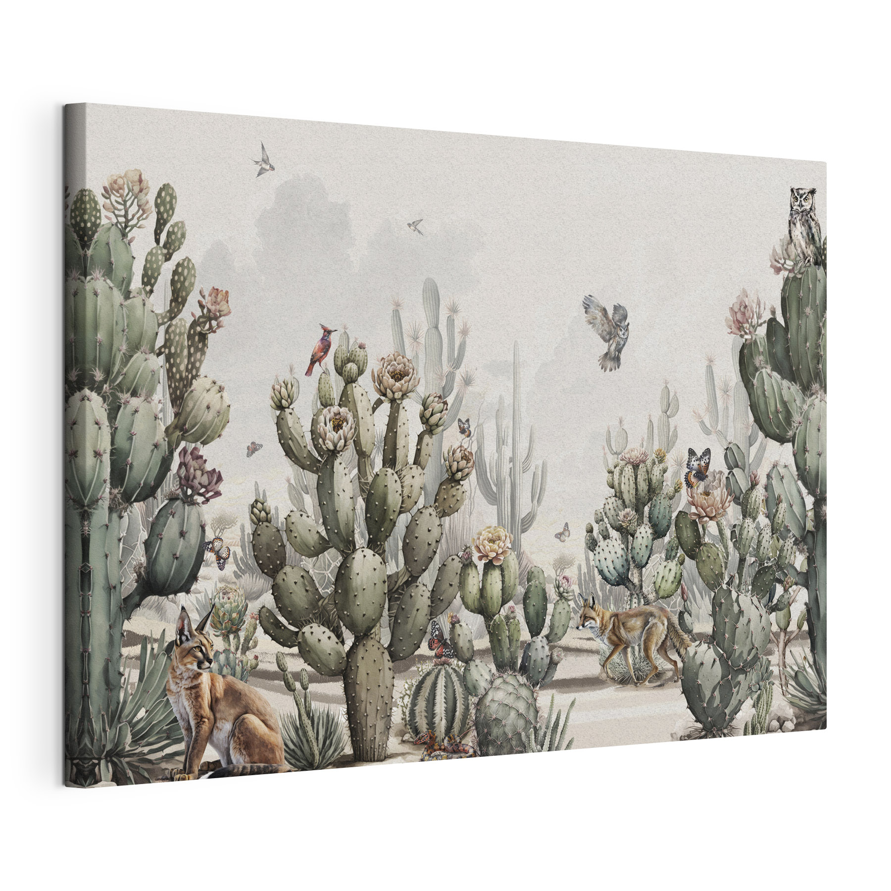 Group of cactuses and birds