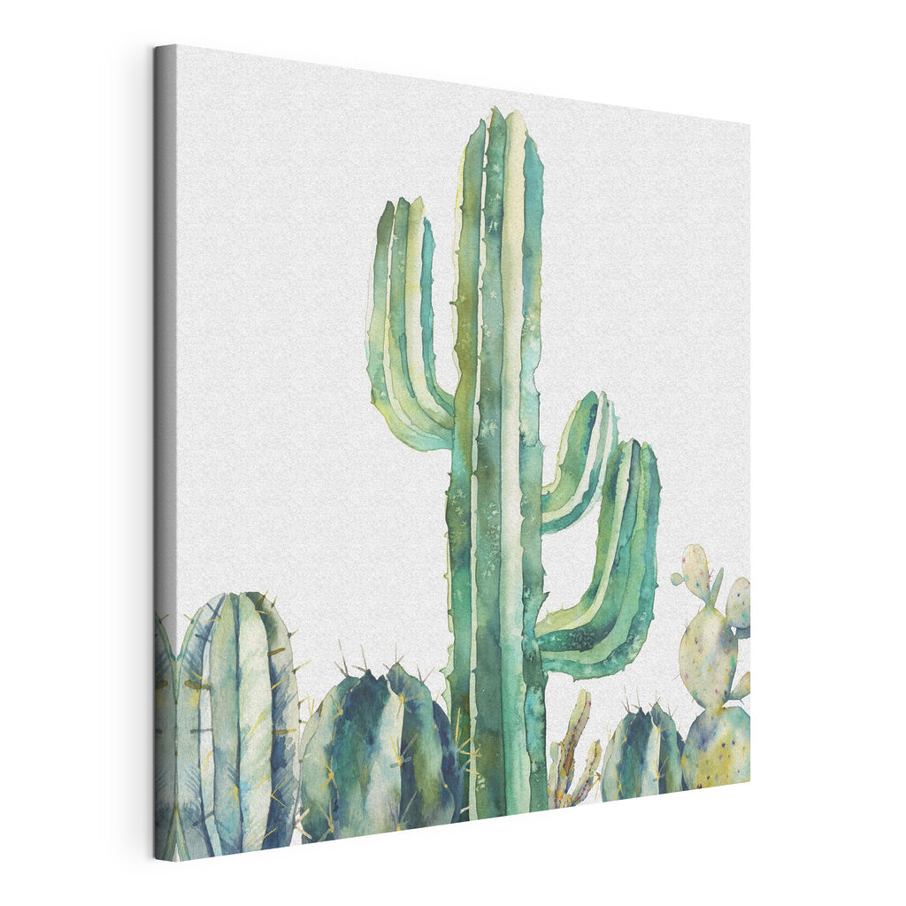 Watercolor of a cactus Watercolor of a cactus