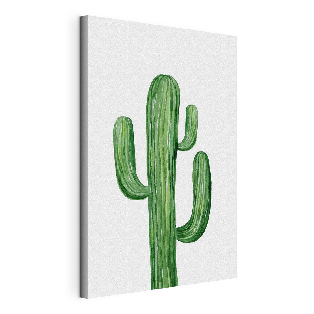 Green cactus on a white background