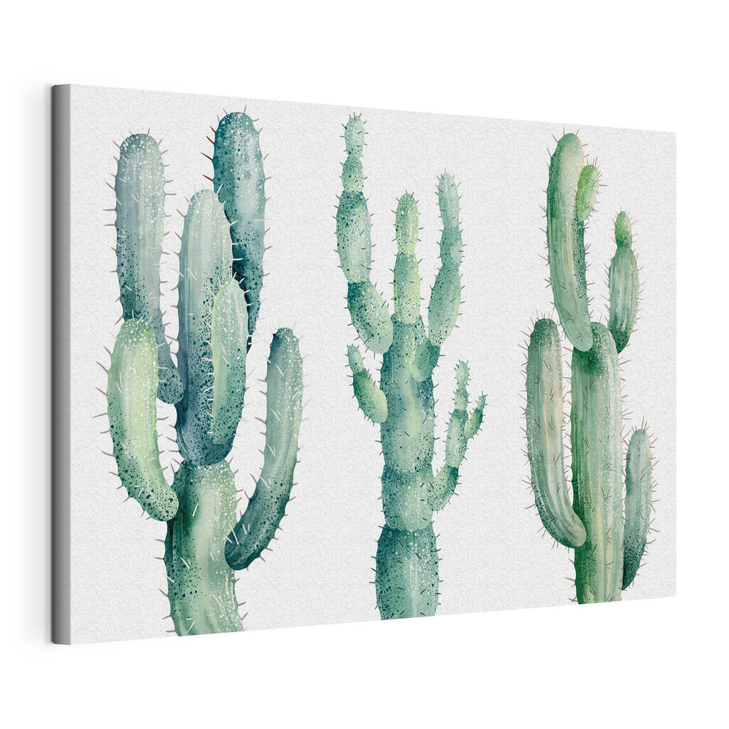 Group of cactuses on a white background