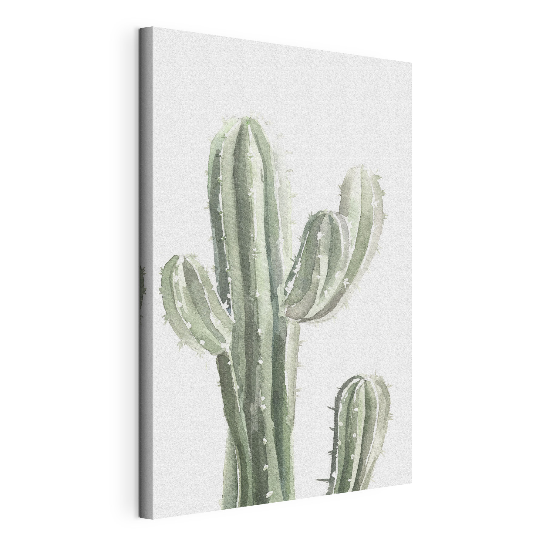 A watercolor of a cactus A watercolor of a cactus