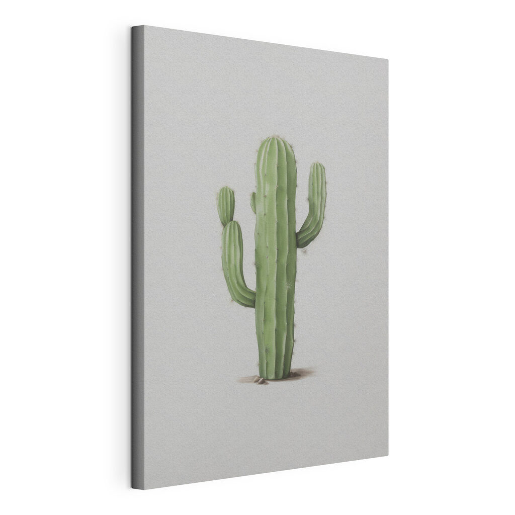 Cactus with needles on it