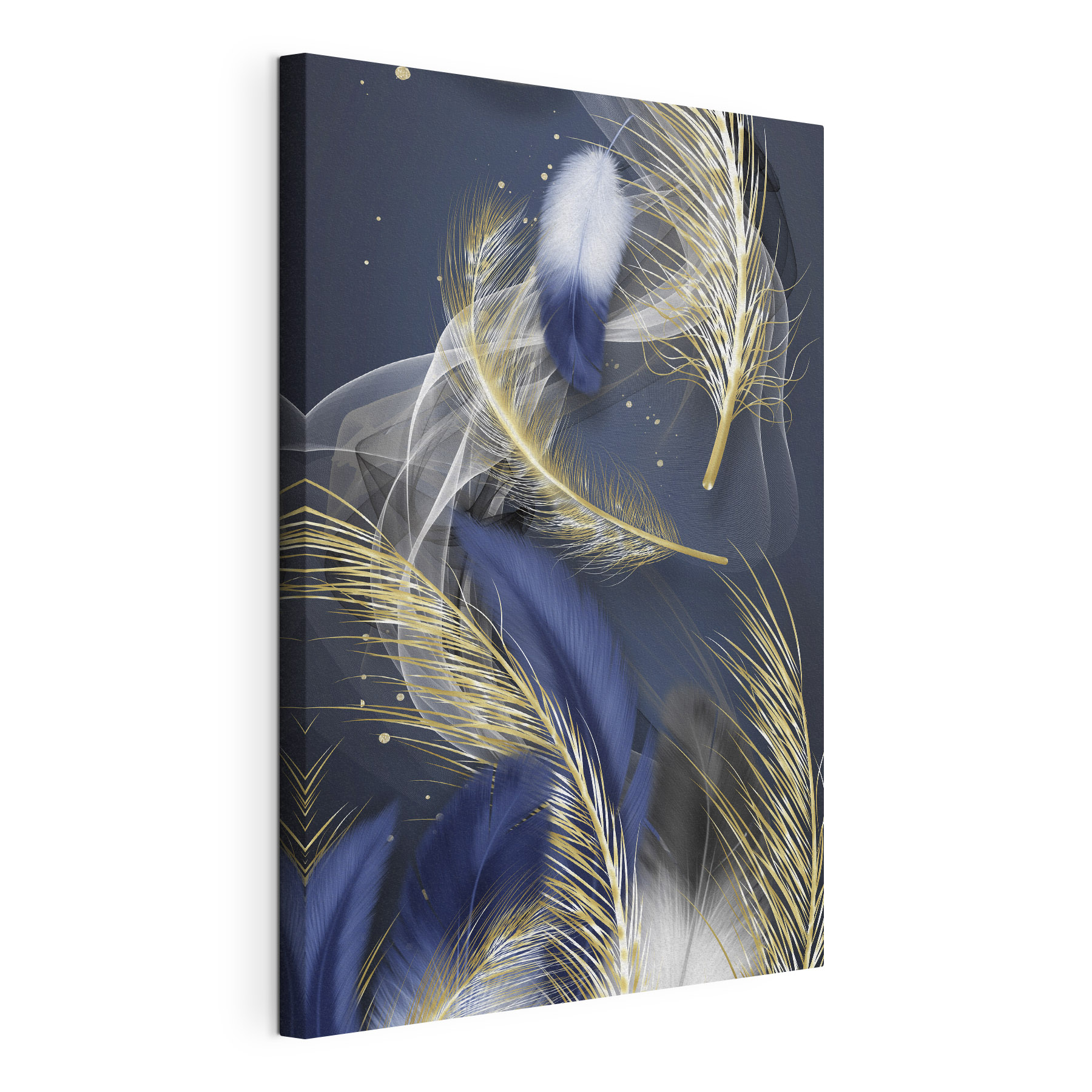 Elegant feathers on dark background Elegant feathers on dark background