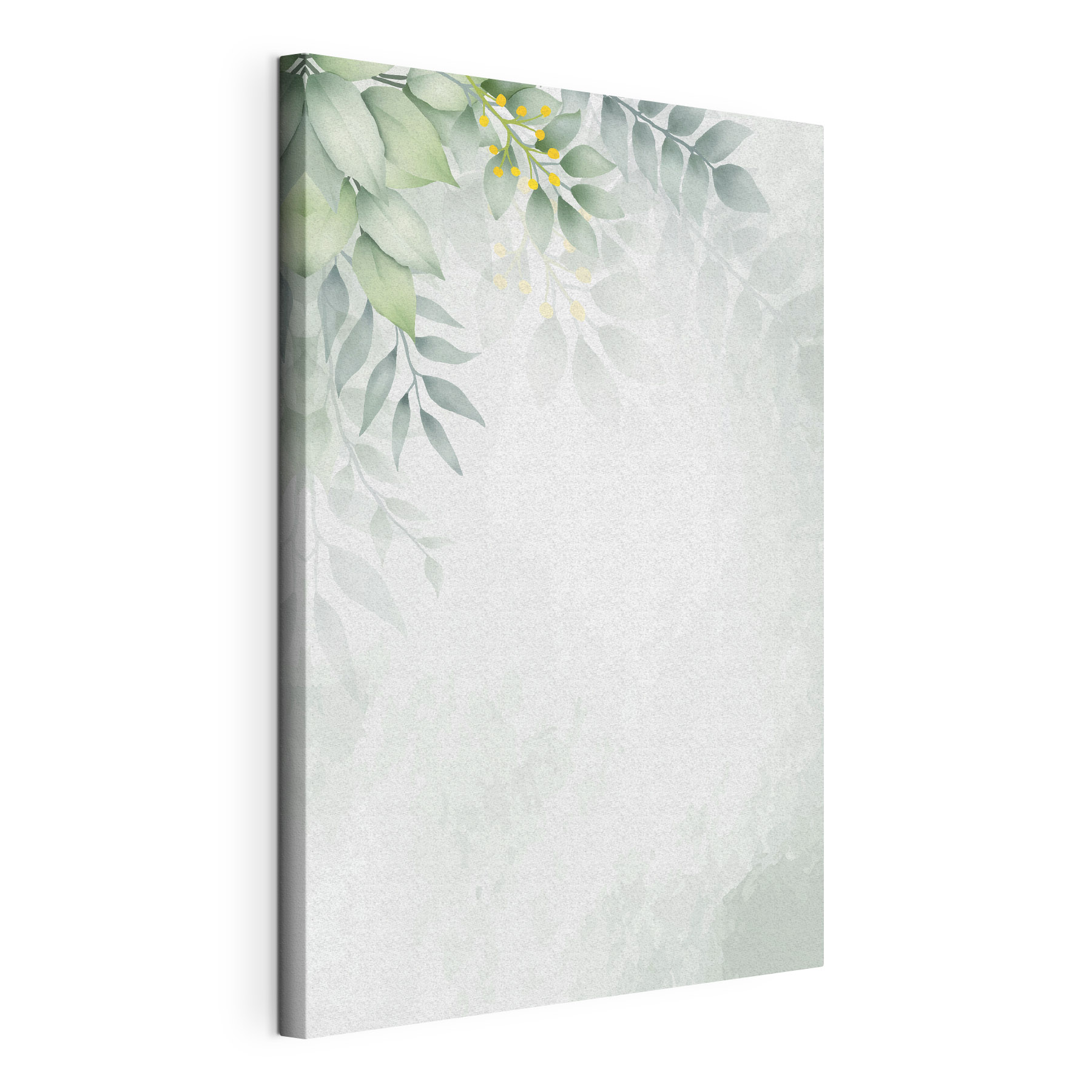 White background with green leaves White background with green leaves