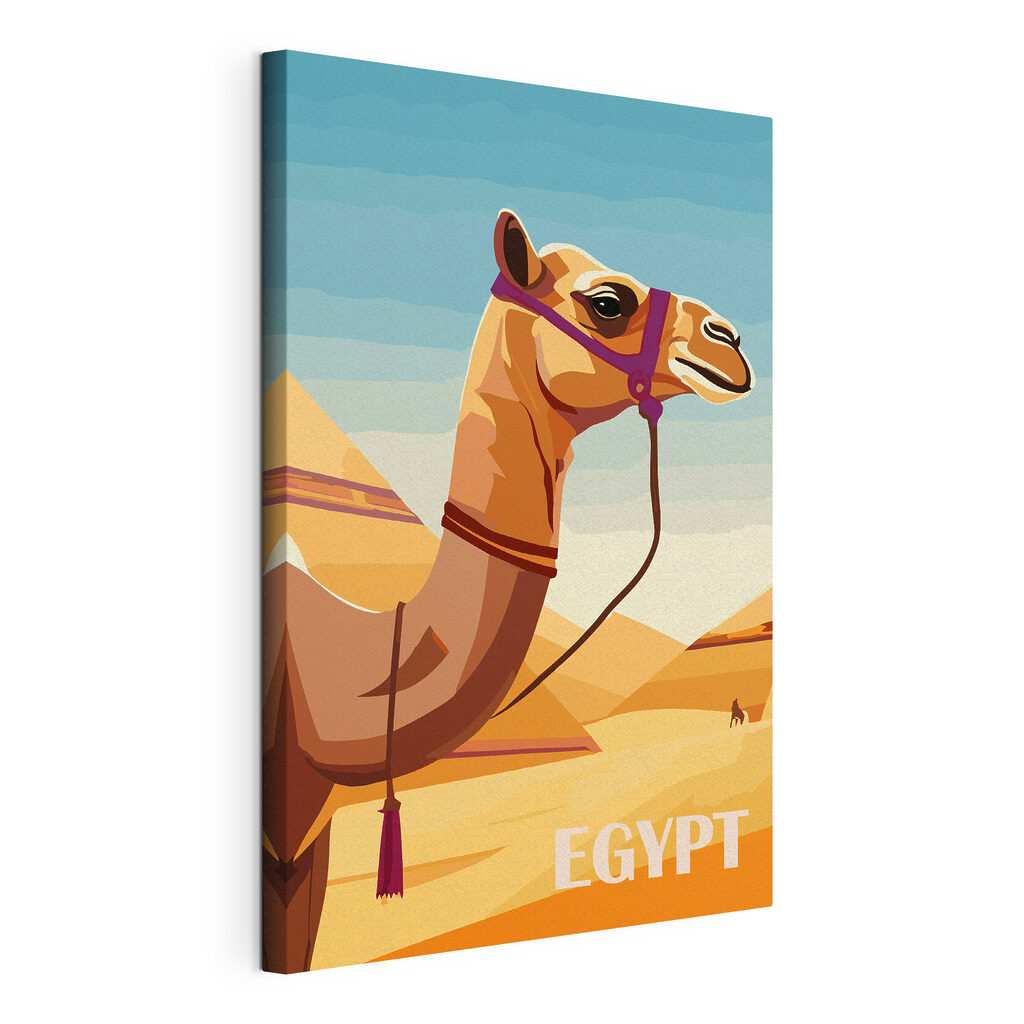 Camel with a halter Camel with a halter