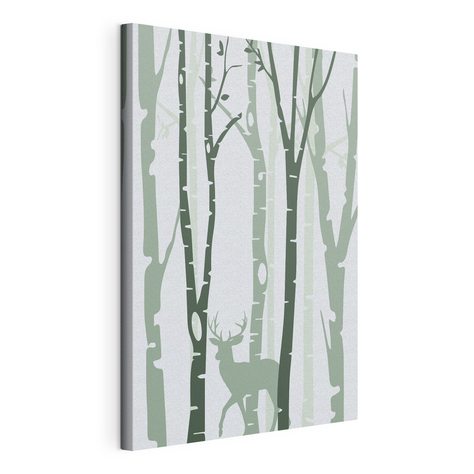 A deer in a forest A deer in a forest