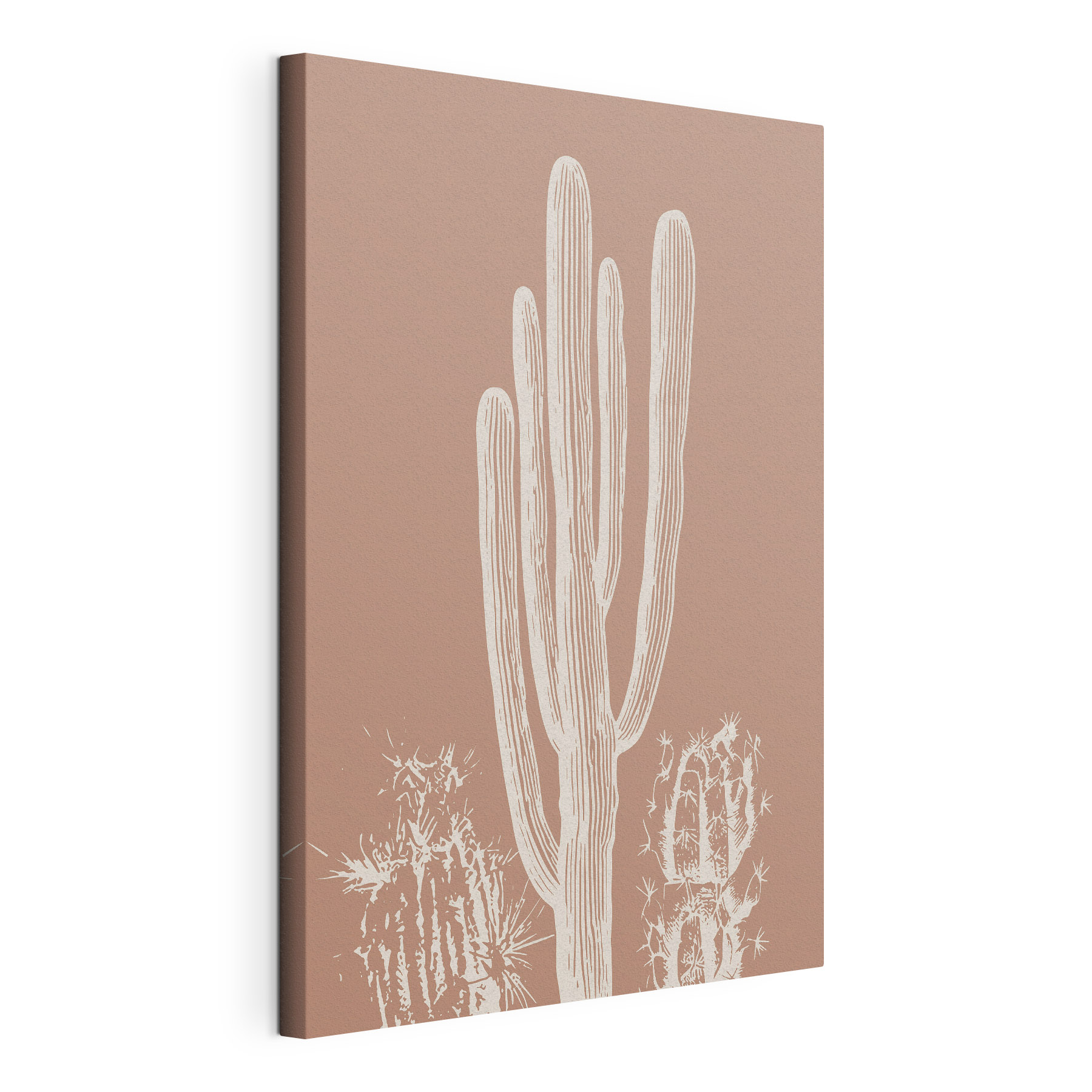 Cactus with white lines Cactus with white lines