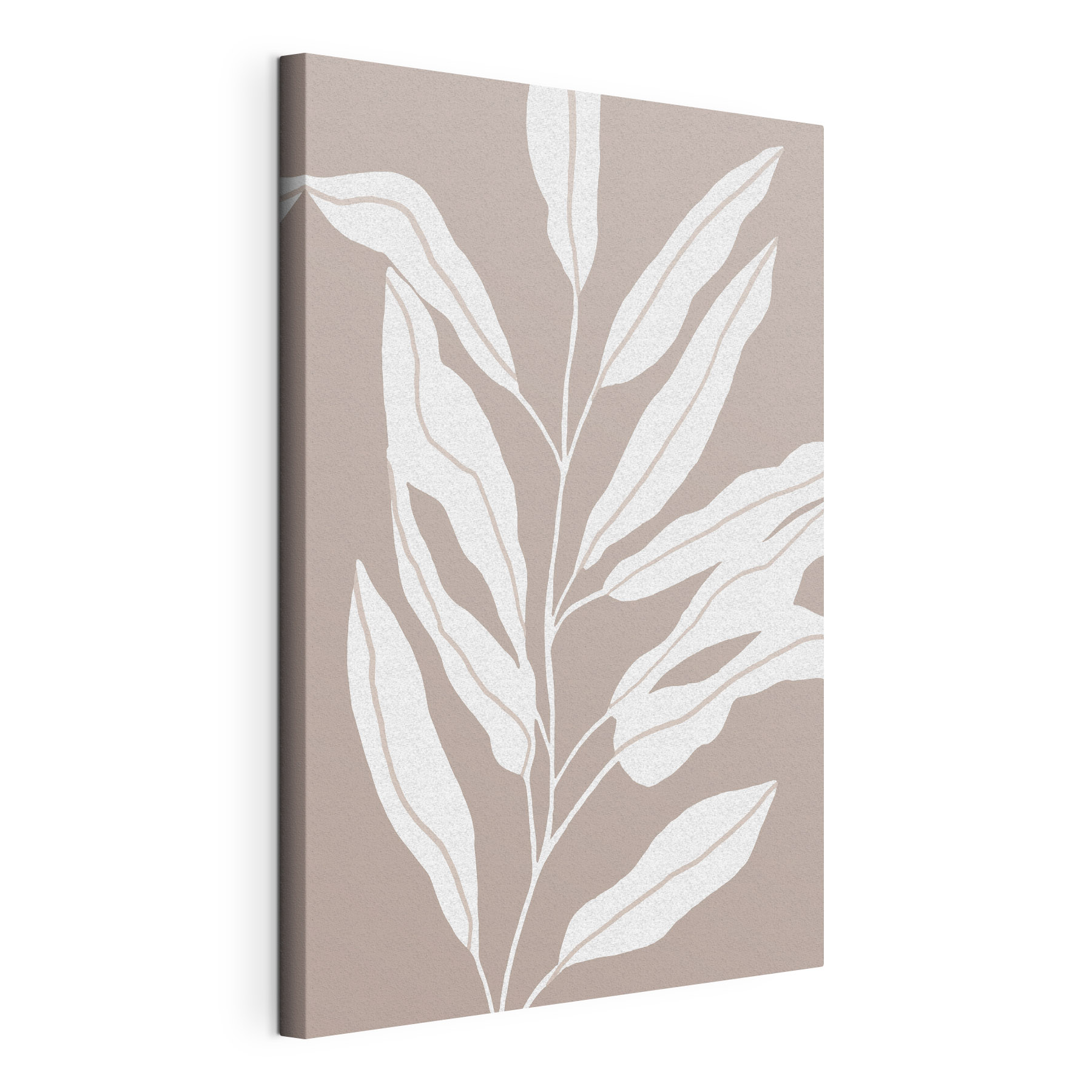 White leaves on a brown background White leaves on a brown background