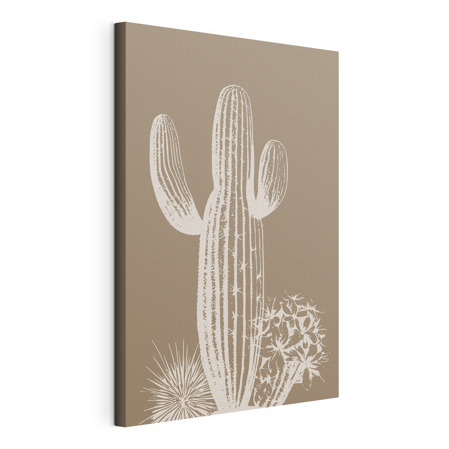 Cactus with thorns and flowers