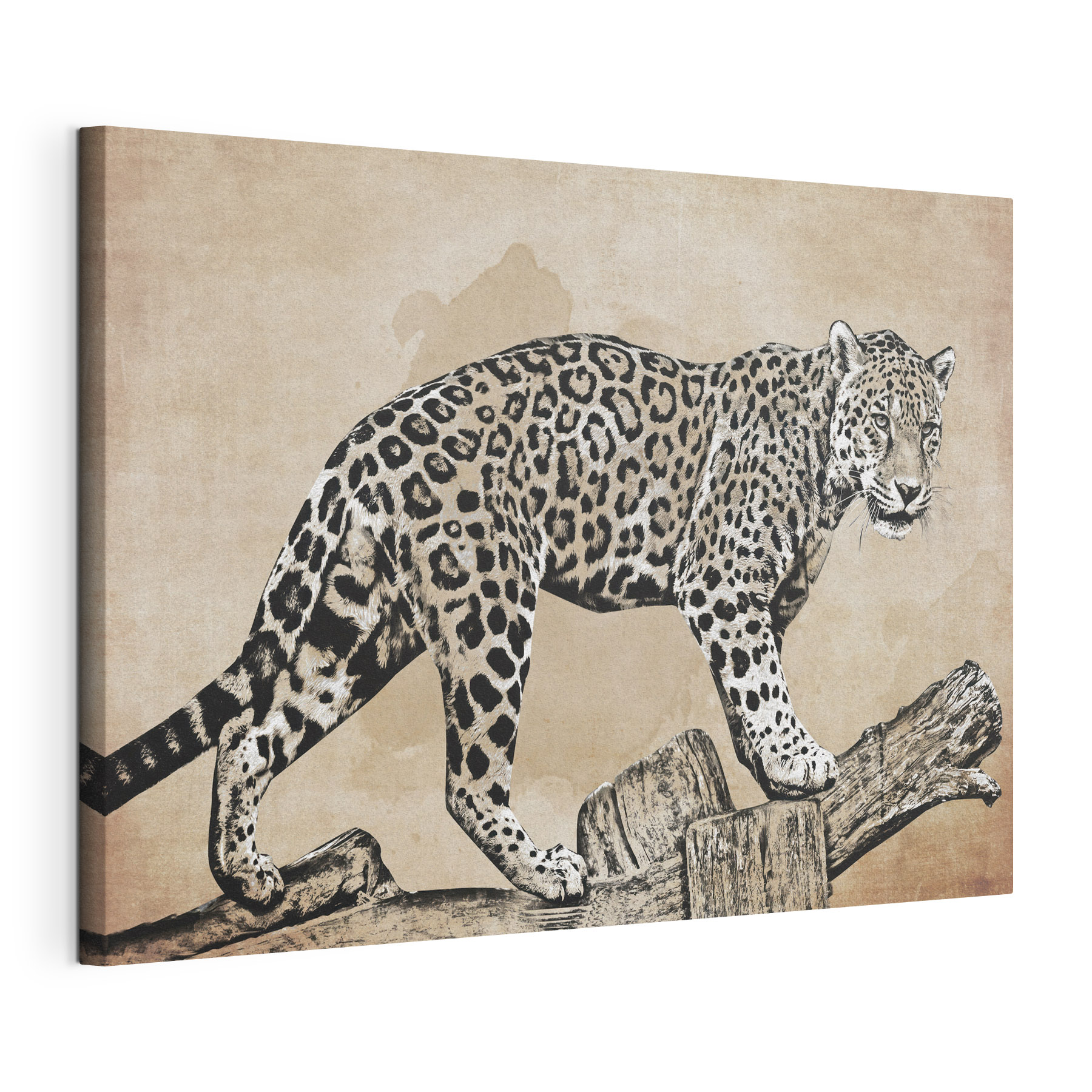 A drawing of a leopard walking on a log A drawing of a leopard walking on a log