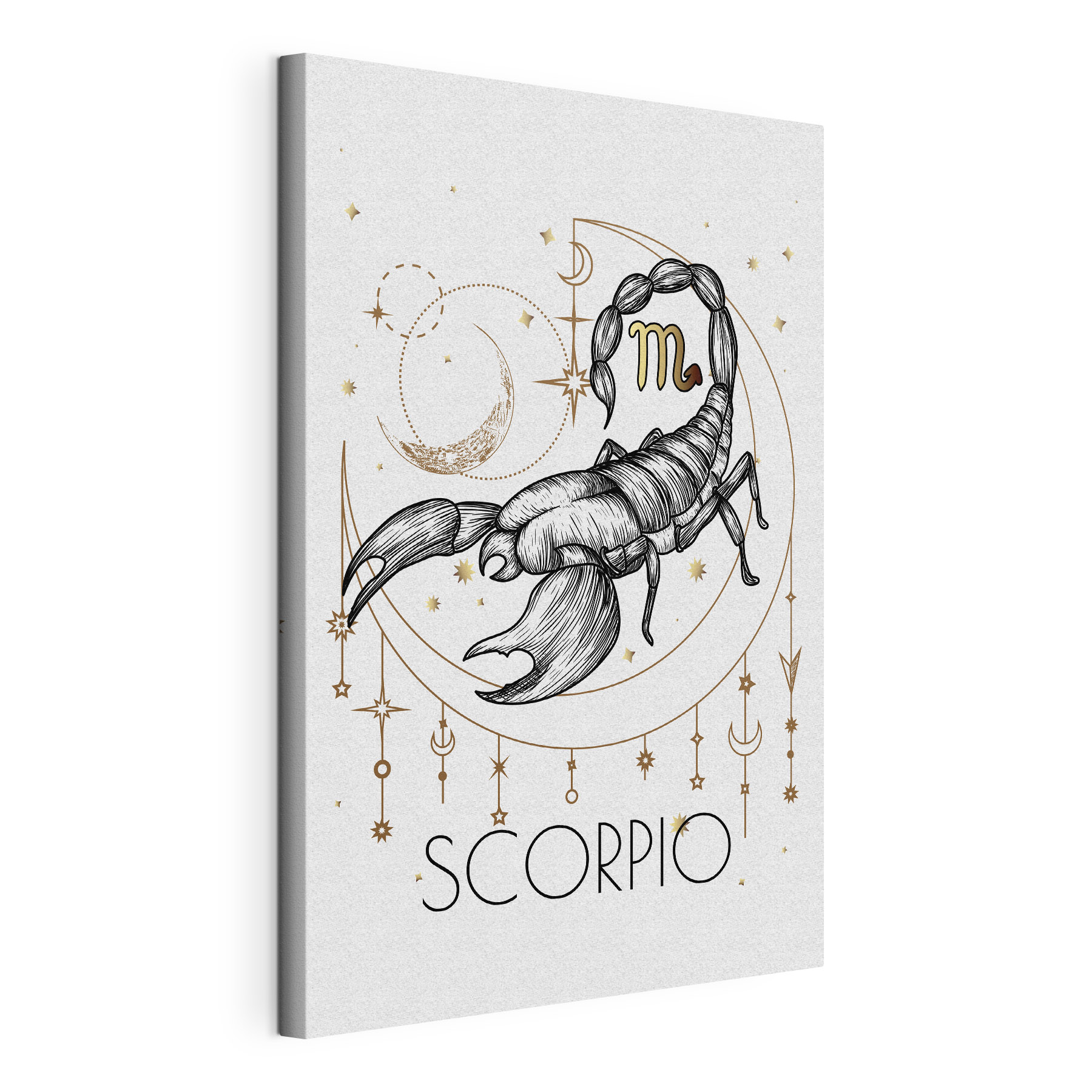 A drawing of a scorpion