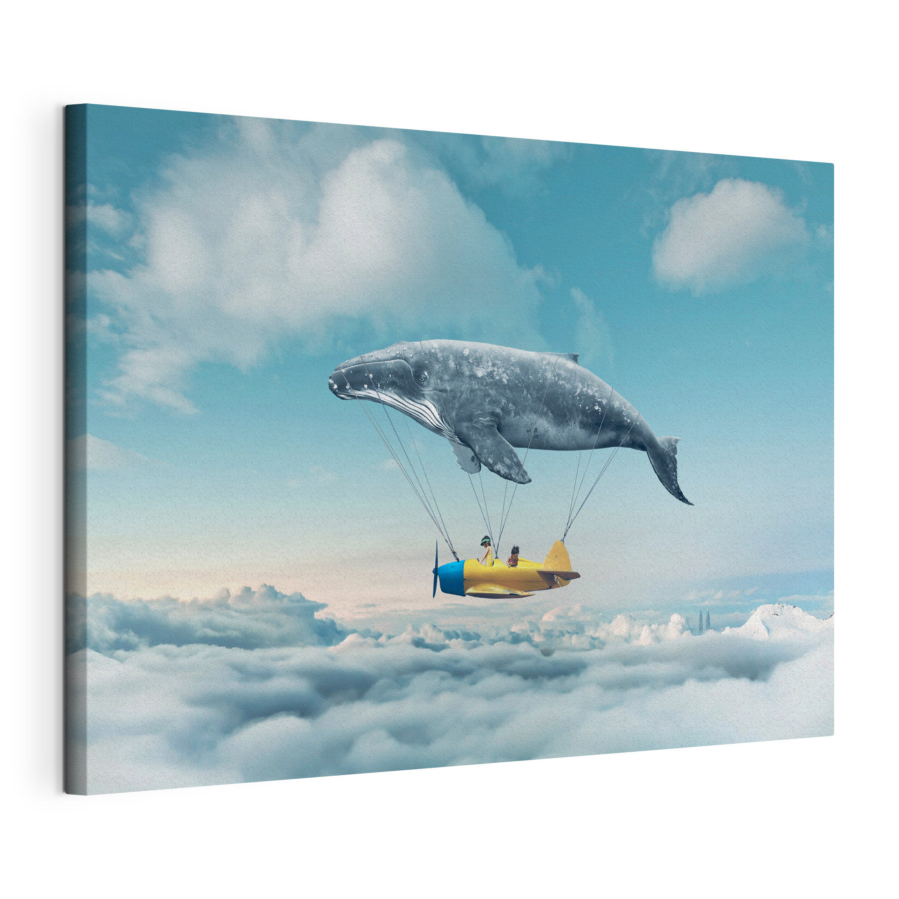 A whale and a whale attached to a small plane A whale and a whale attached to a small plane