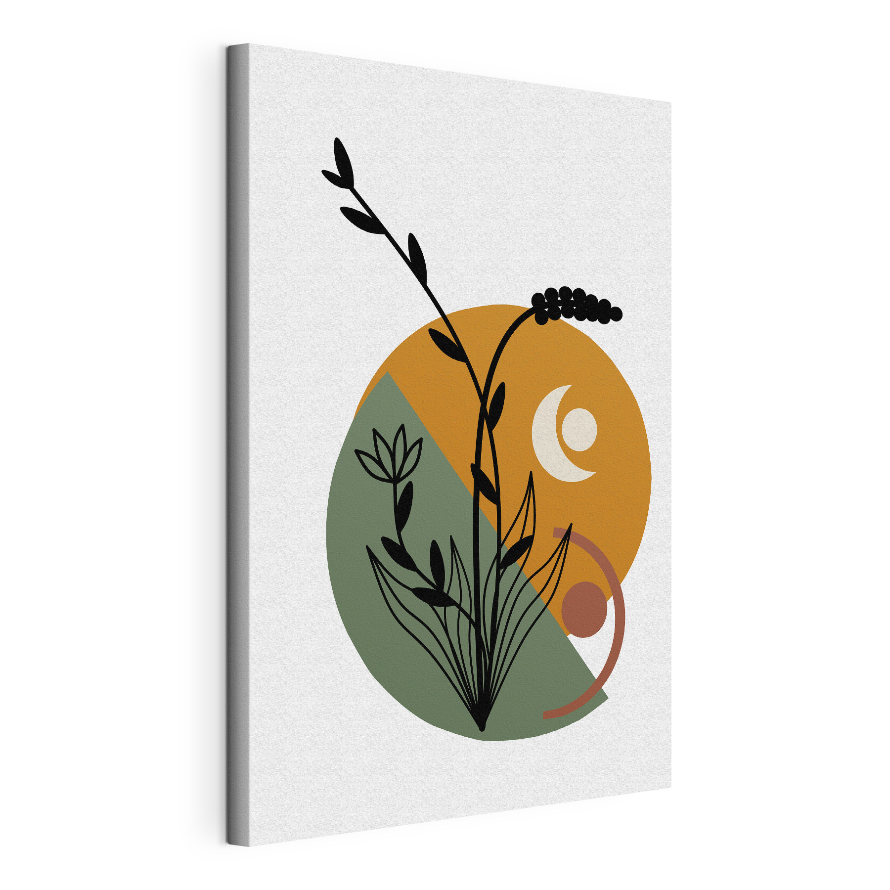 A flower with leaves and a circle