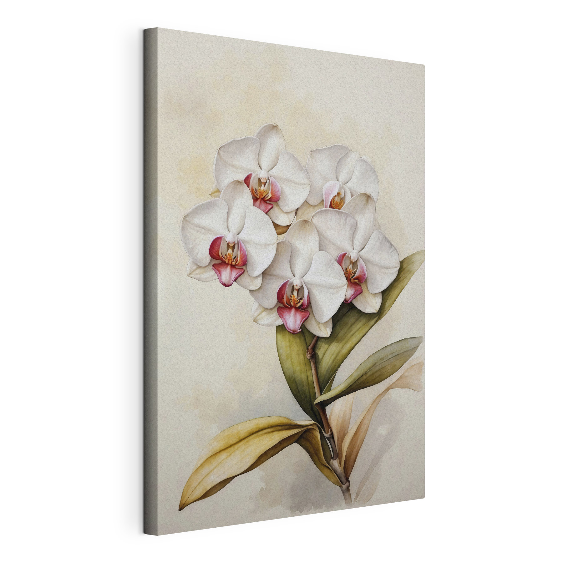 A painting of a white orchid