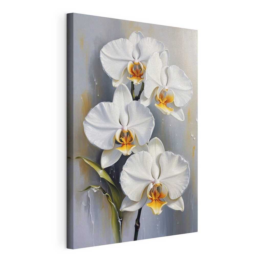 Elegant white orchids in bloom Elegant white orchids in bloom