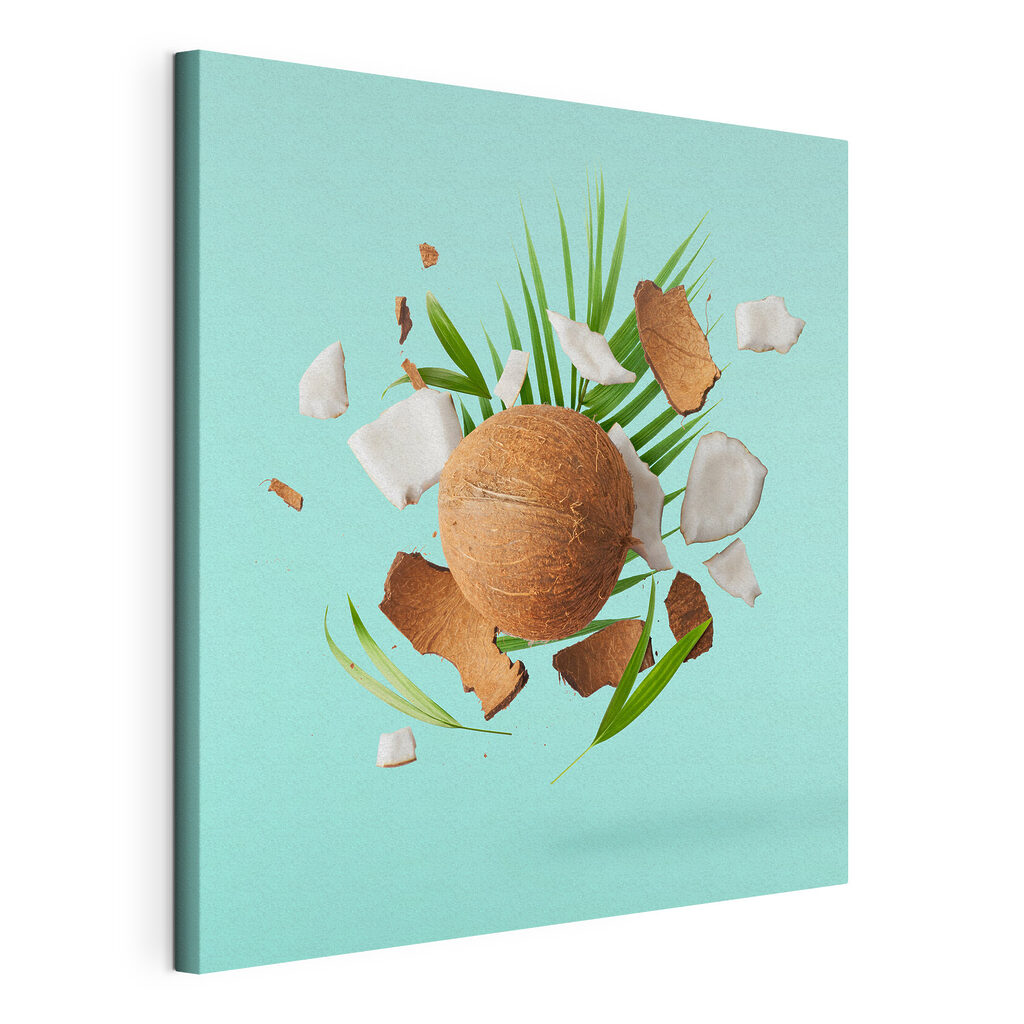 A coconut and palm leaves A coconut and palm leaves