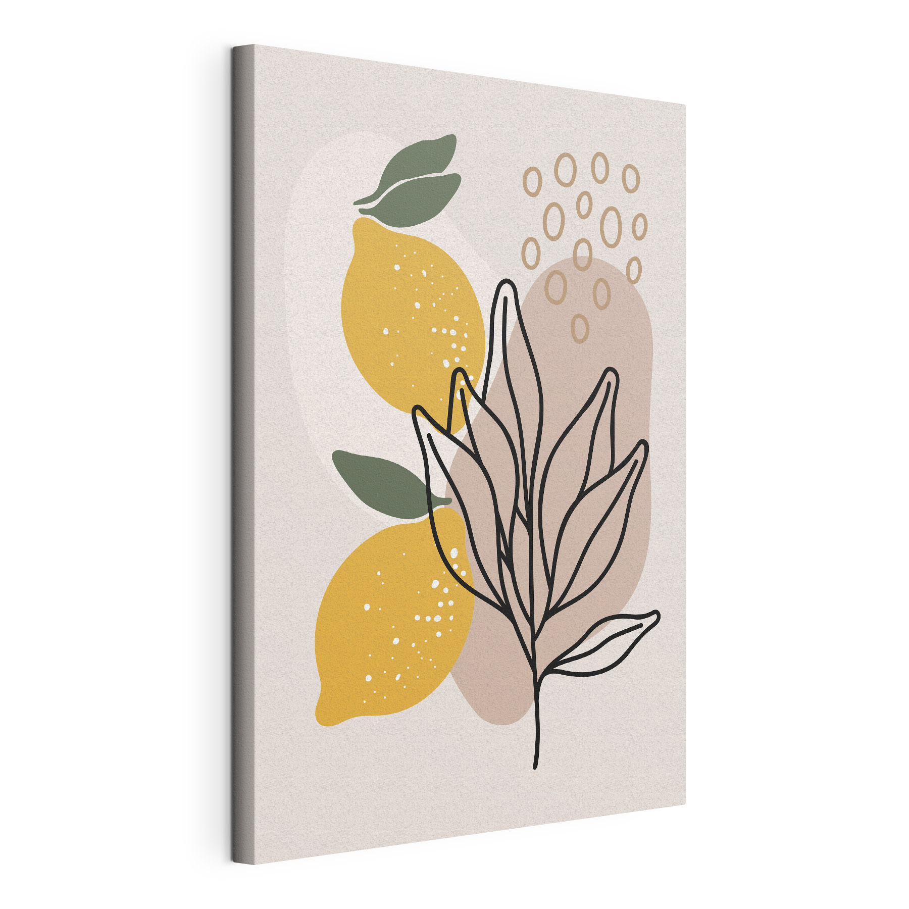 A lemons and leaves drawn on a white background