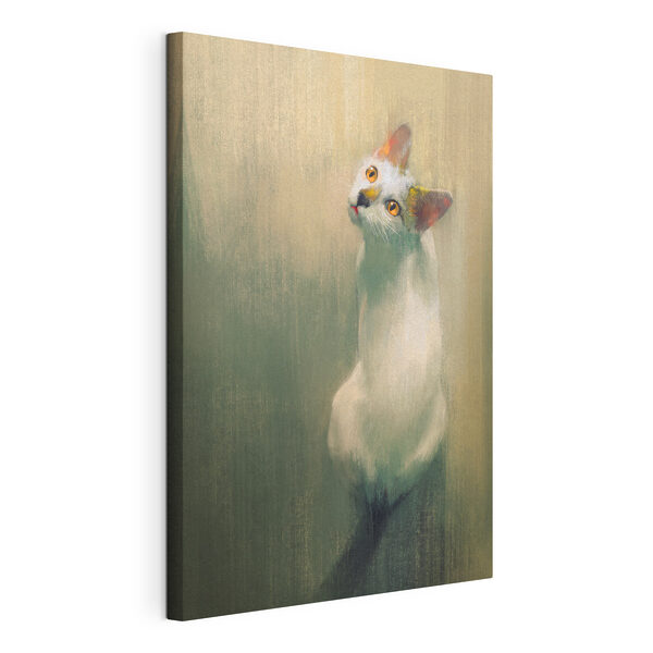 Un gatto bianco che guarda in alto Quadri Un gatto bianco che guarda in alto