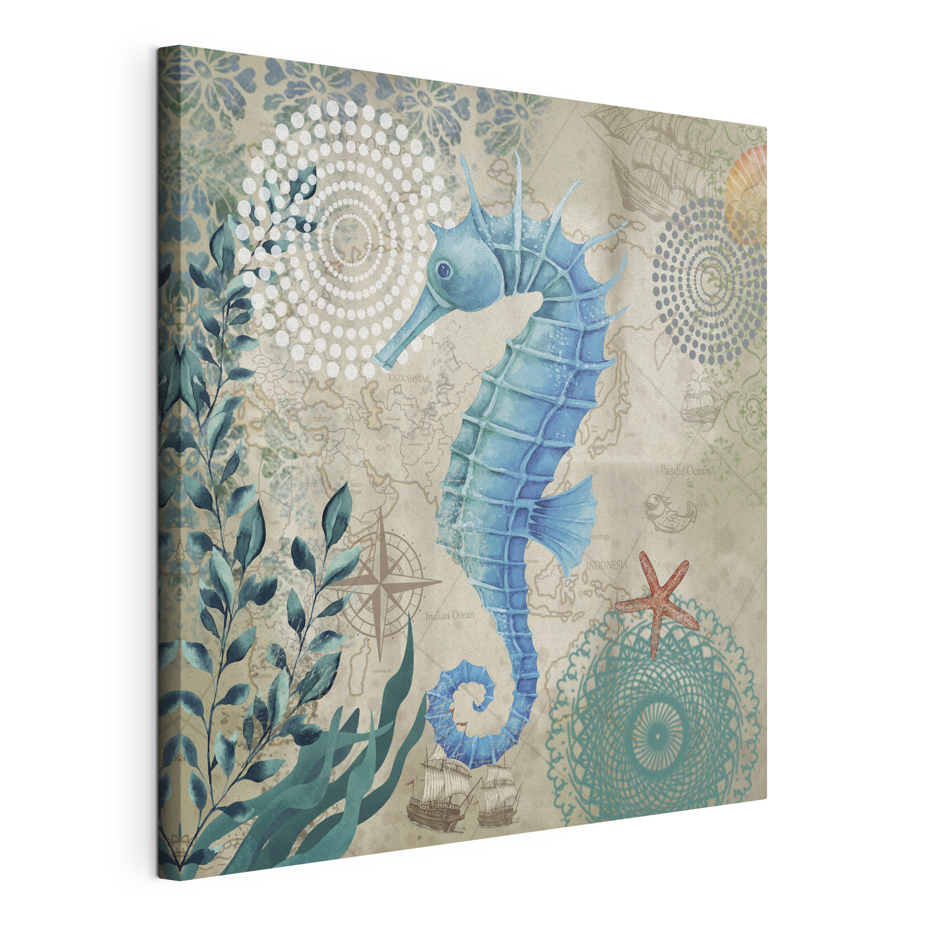 A seahorse and seaweed on a map