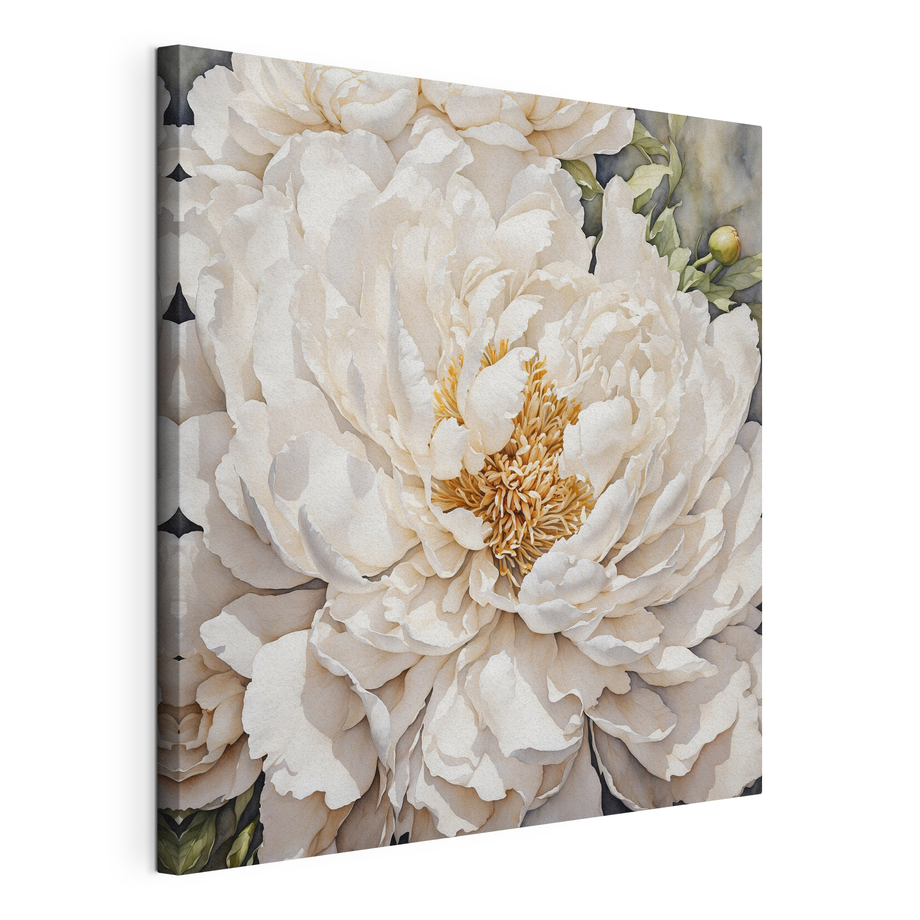 Elegant white peony in full bloom Elegant white peony in full bloom