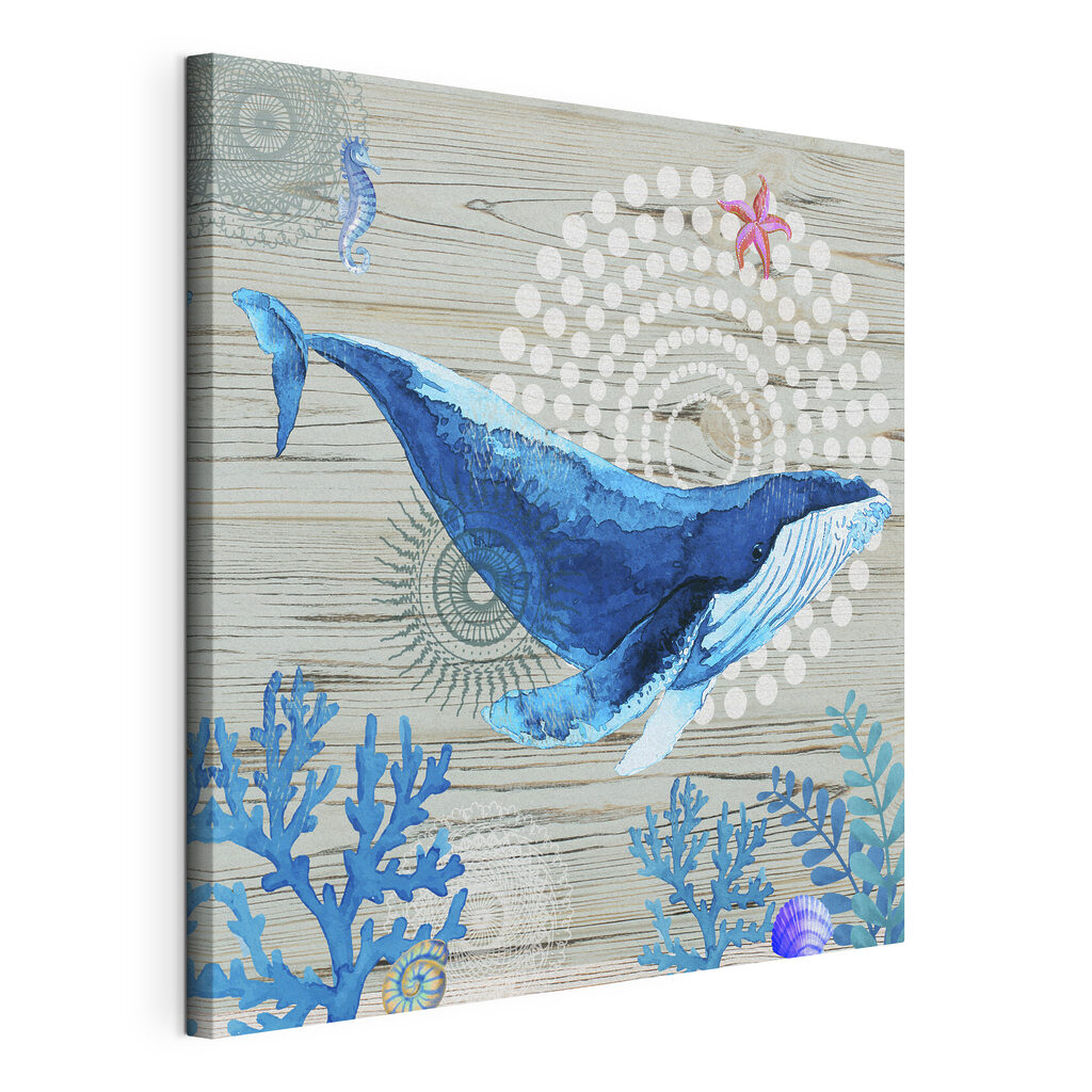 A blue whale and seaweed