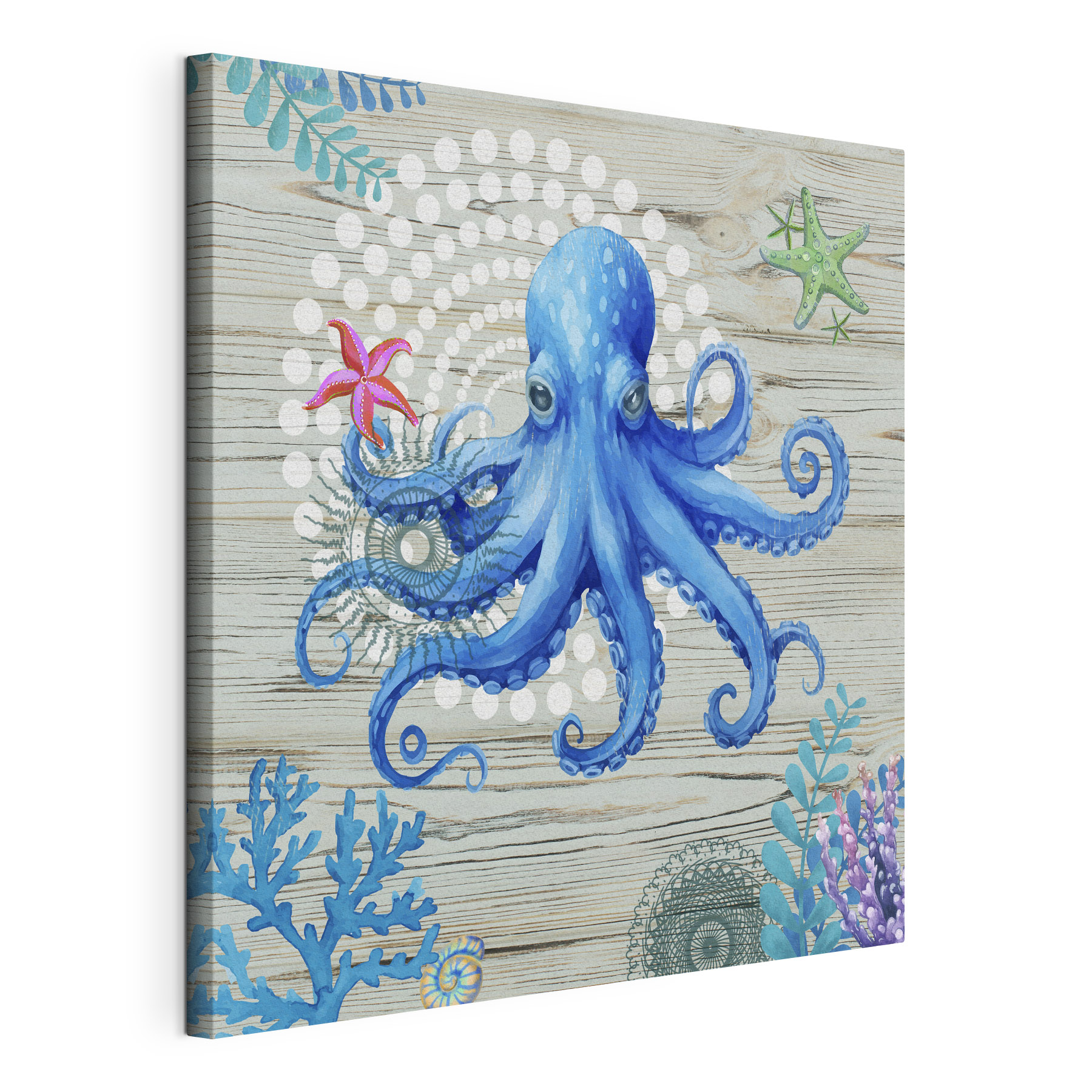 A blue octopus with starfish and corals