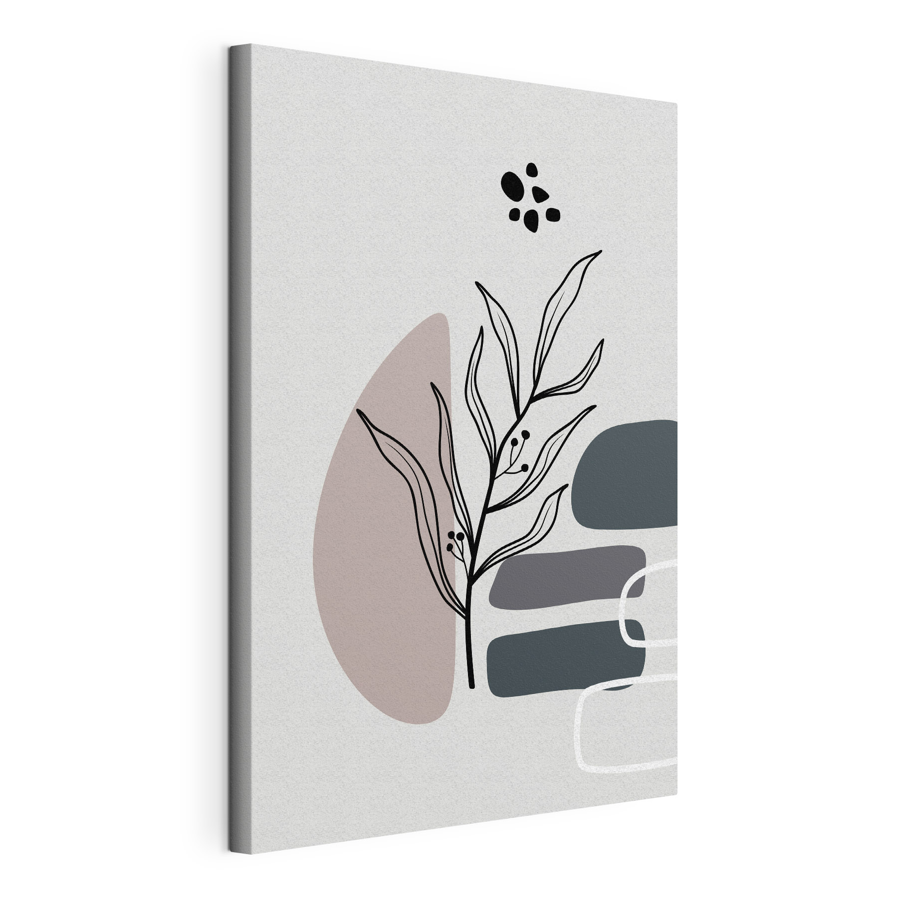 A plant with leaves and geometric shapes A plant with leaves and geometric shapes