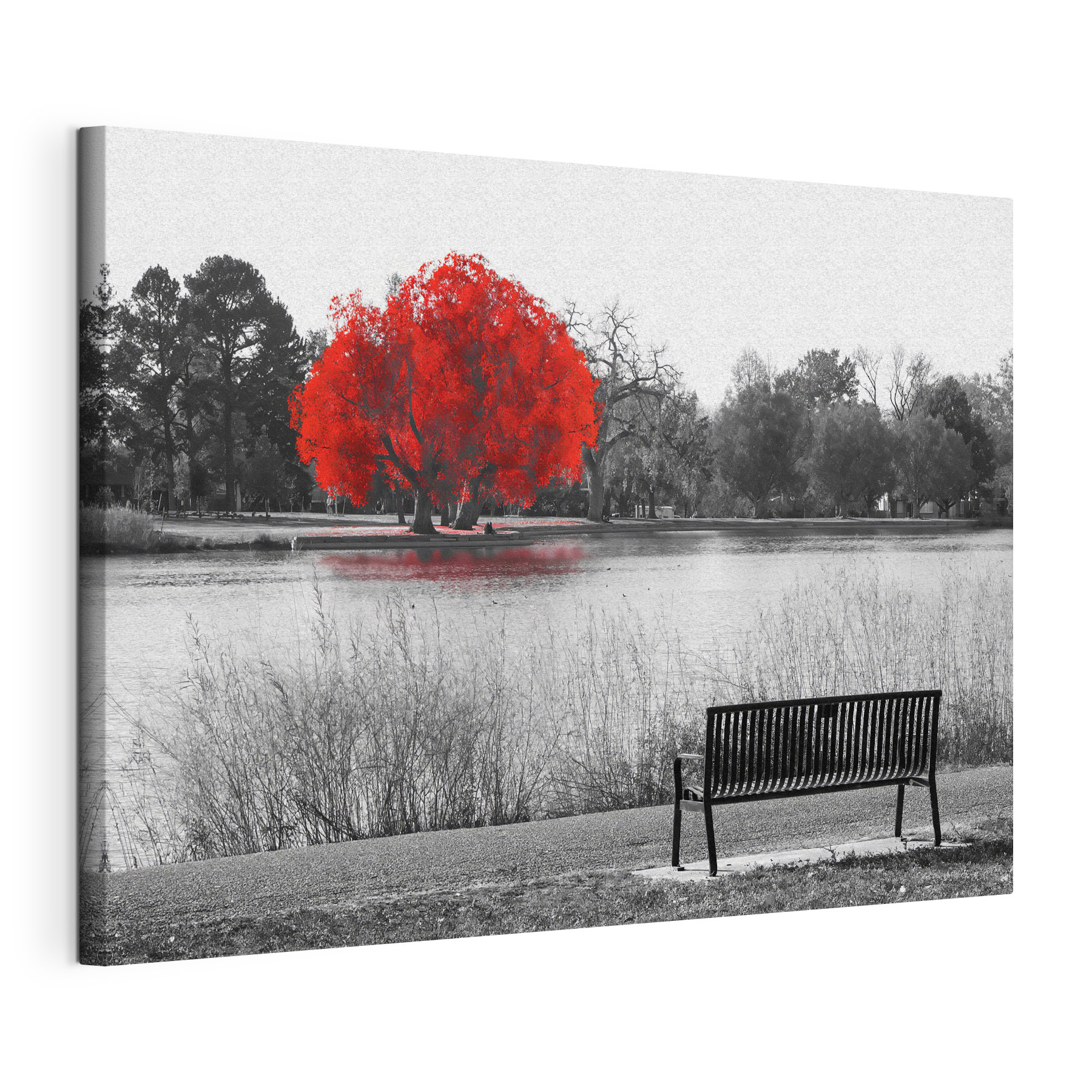 A bench by a lake with a red tree A bench by a lake with a red tree