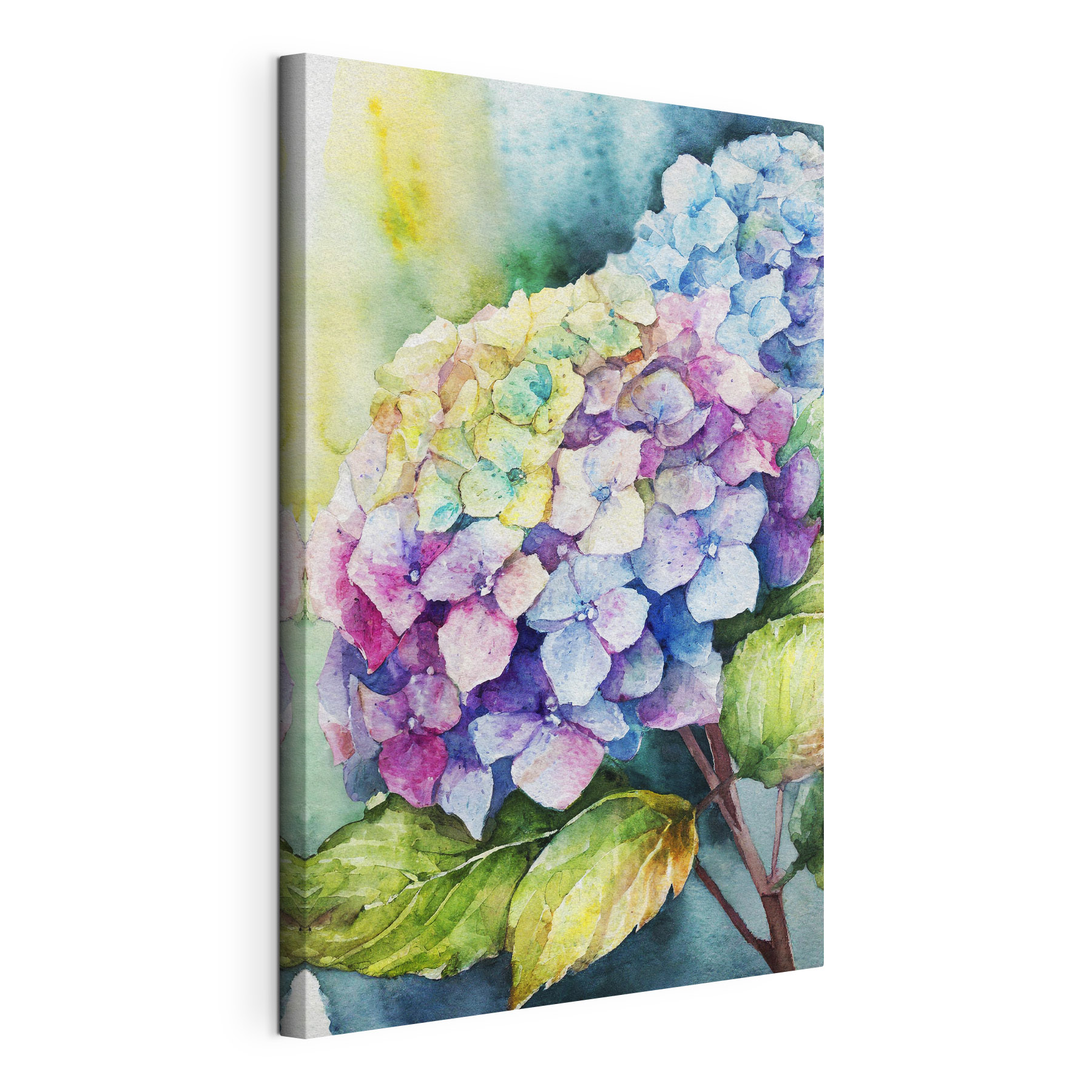 A watercolor of a flower