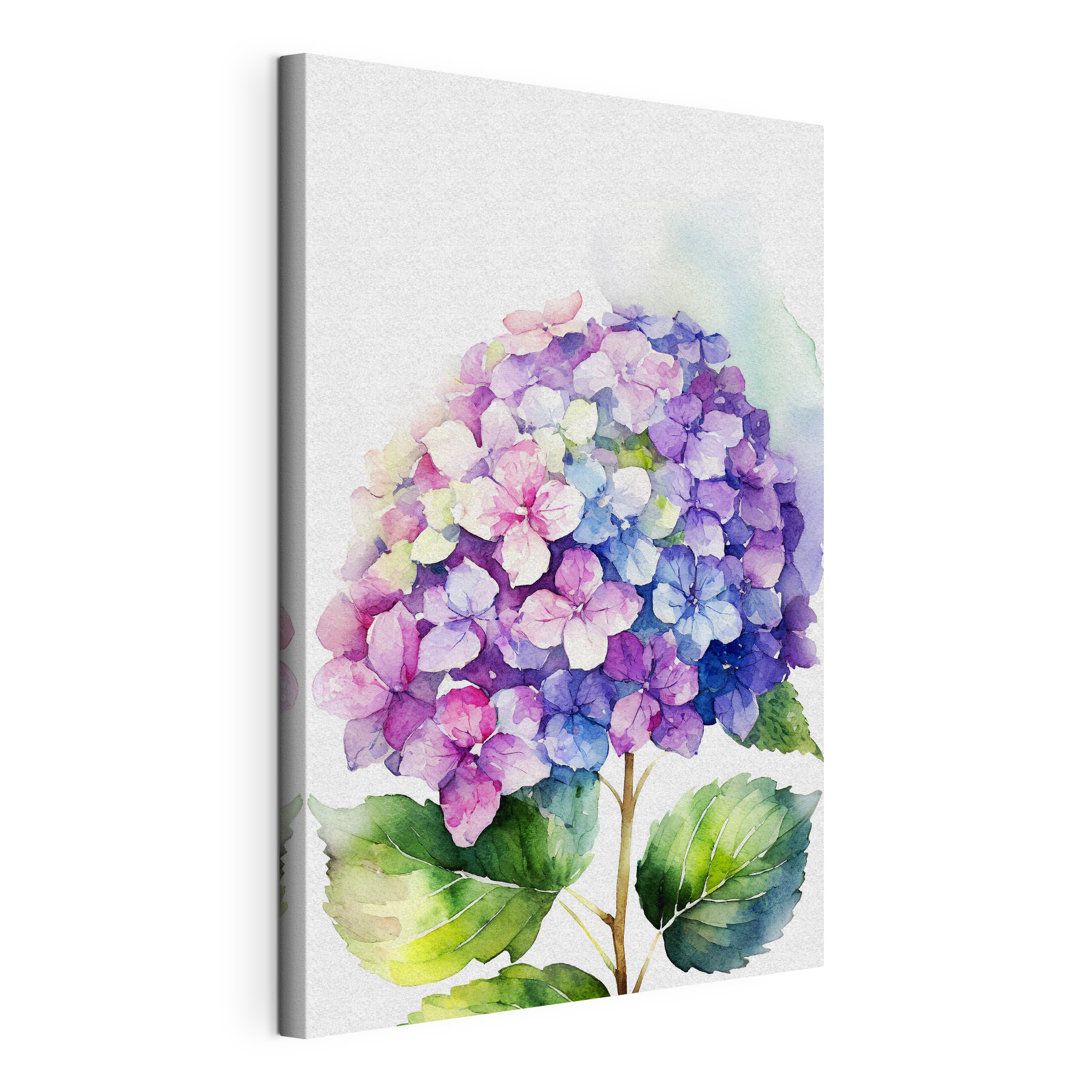 A watercolor of a flower A watercolor of a flower