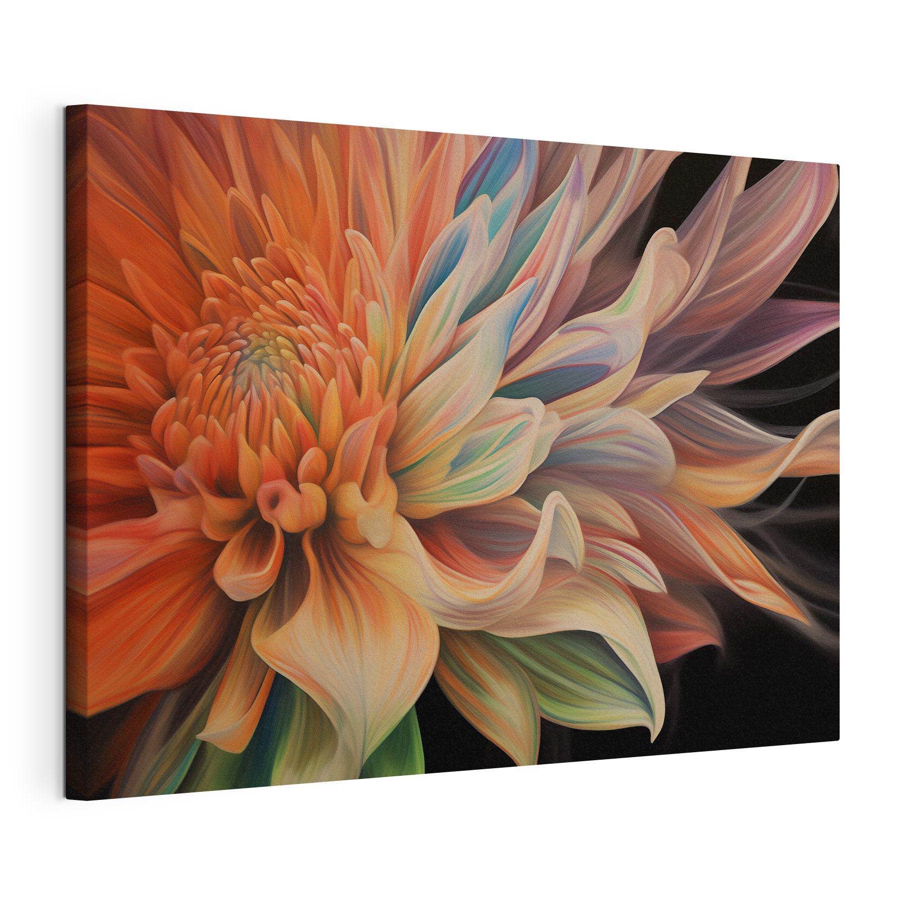 Vibrant petals in soft hues Vibrant petals in soft hues