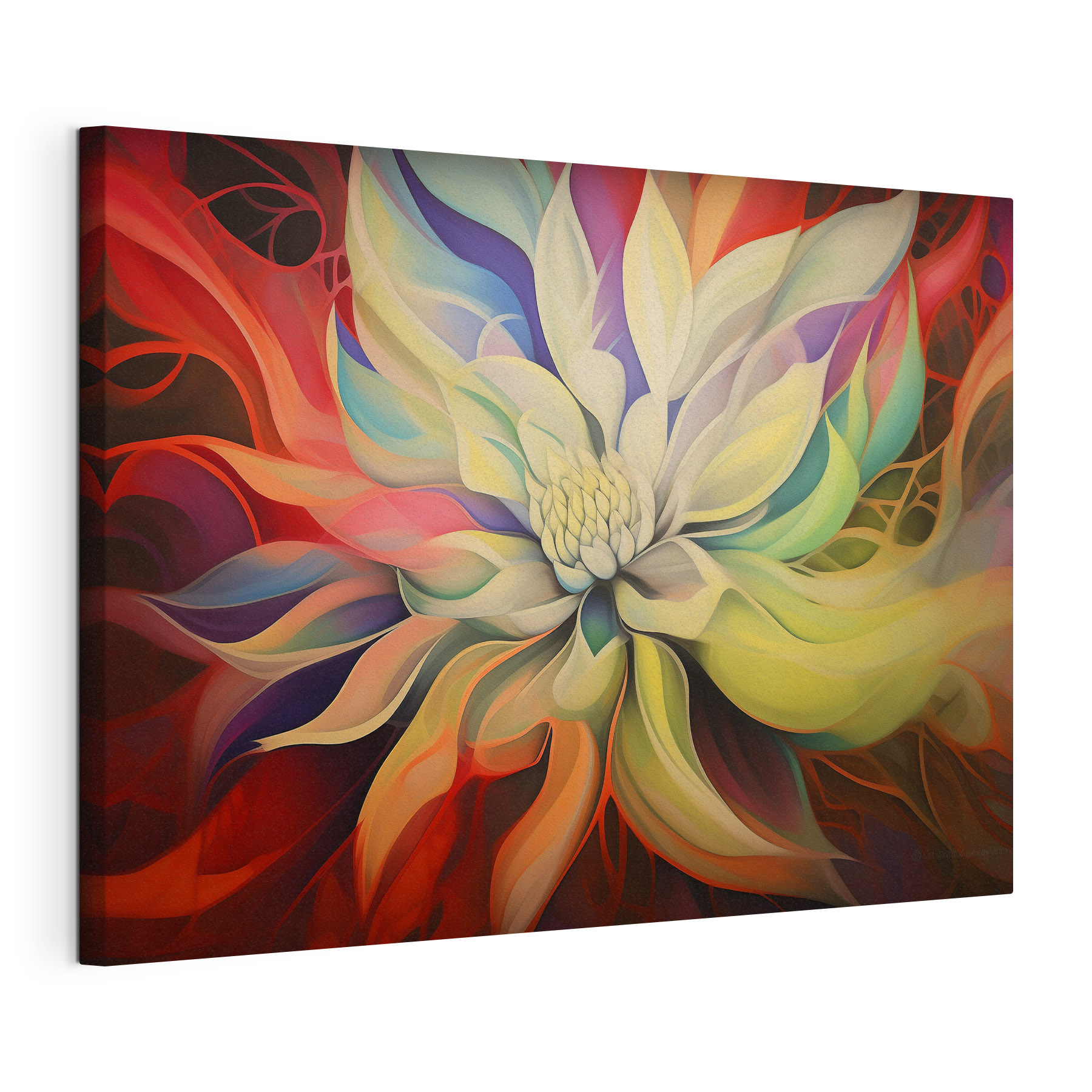 A colorful flower with white petals A colorful flower with white petals