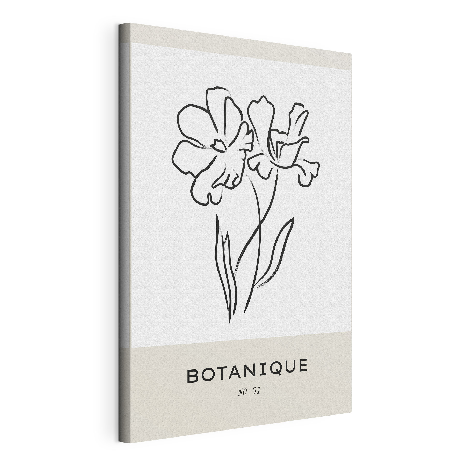 A drawing of flowers on a white background