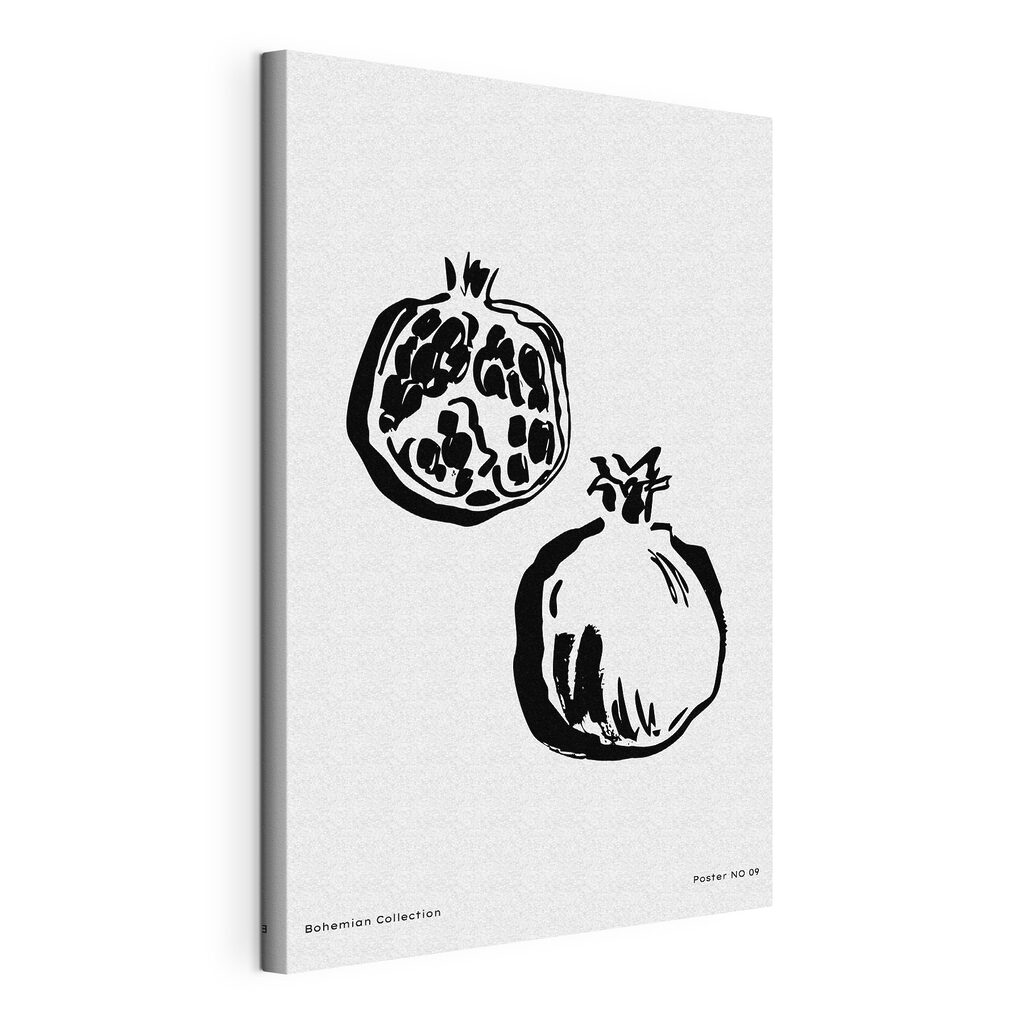 A drawing of a pomegranate