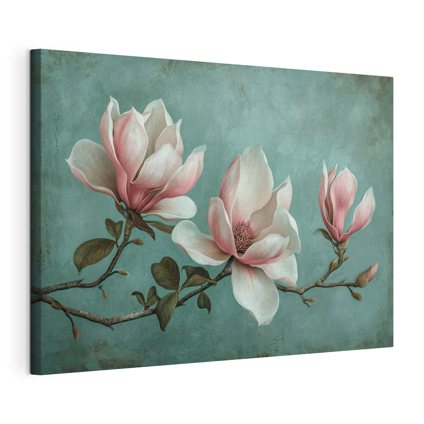 Delicate magnolia blossoms on branch