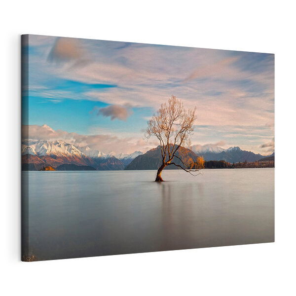 Quadri Un albero nell'acqua (COD: s37487) Quadri Quadri Un albero nell'acqua (COD: s37487)
