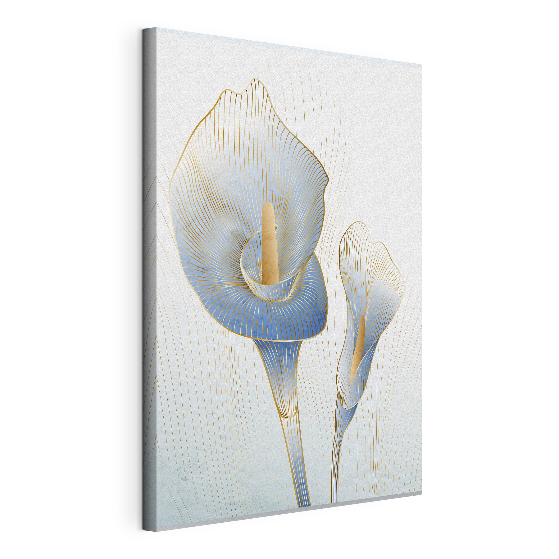 Elegant blue calla lilies in bloom