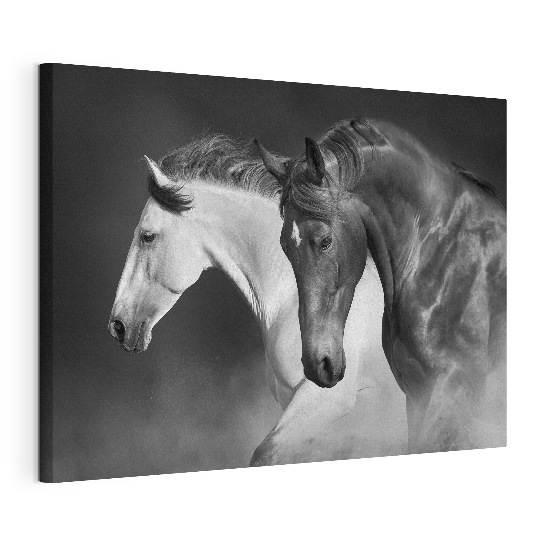 A couple of horses running